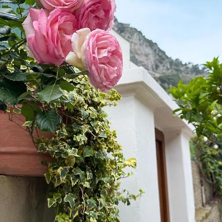 Il Cigno B&B Capri Zewnętrze zdjęcie