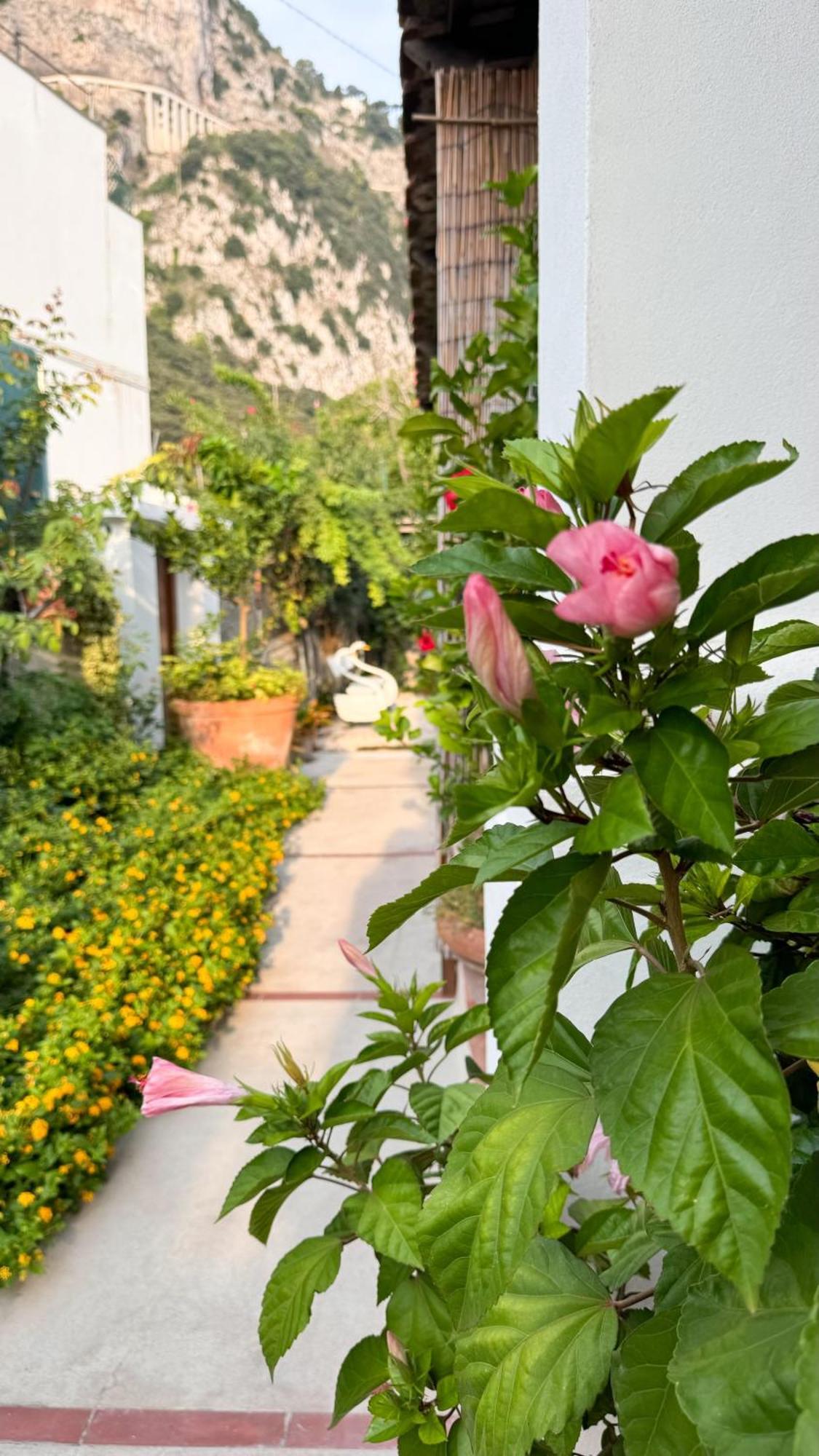 Il Cigno B&B Capri Zewnętrze zdjęcie