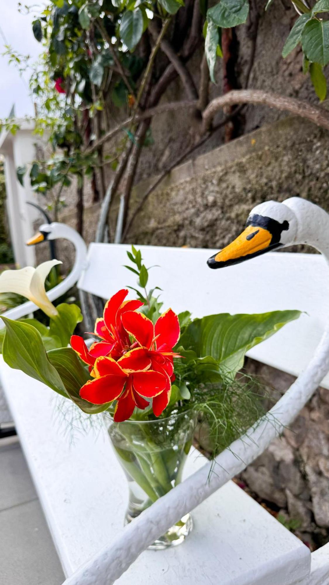 Il Cigno B&B Capri Zewnętrze zdjęcie
