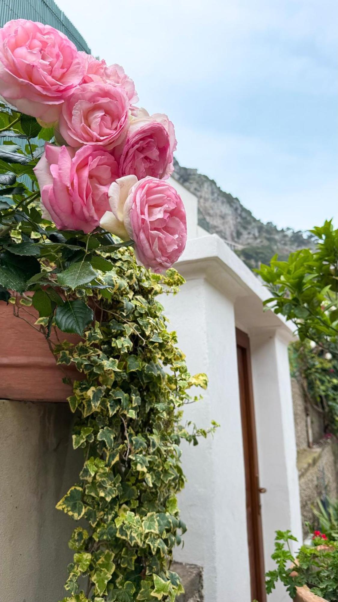 Il Cigno B&B Capri Zewnętrze zdjęcie