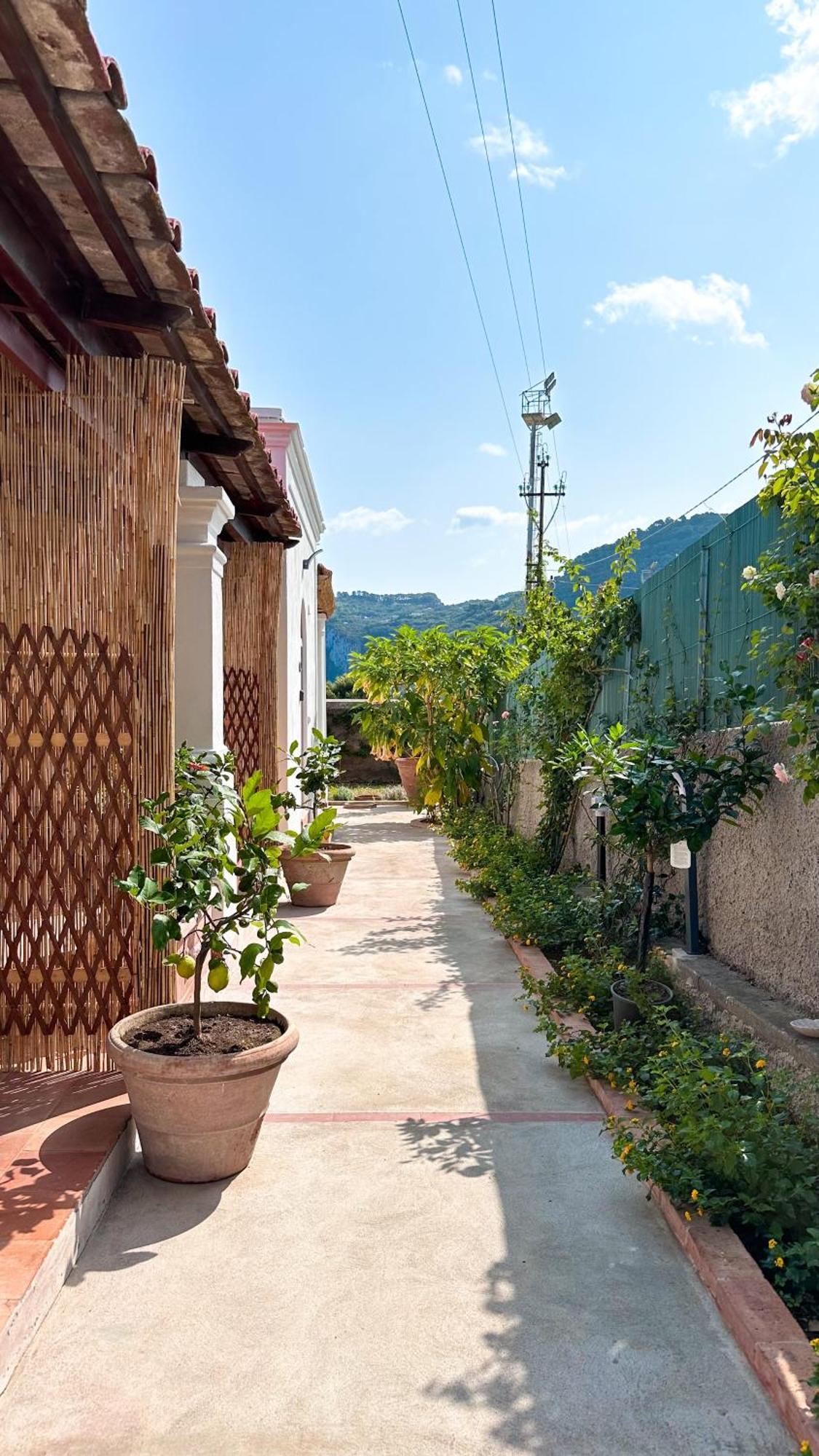 Il Cigno B&B Capri Zewnętrze zdjęcie